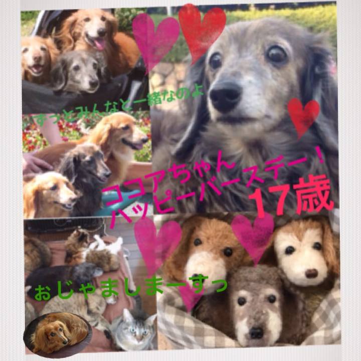 E34b986c 7031 4090 8cbf 7fbd86bd0eae