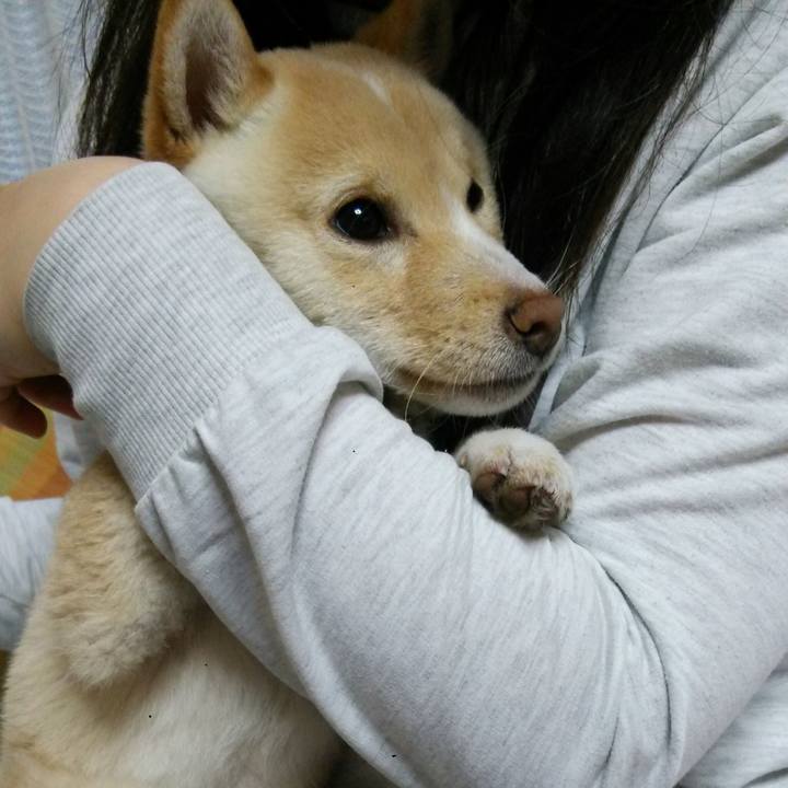 E34c5963 2f87 4a65 84f3 533196d616e9