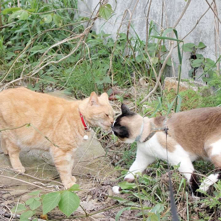 E34c9591 7523 493a ad98 cb7f52f6d81b