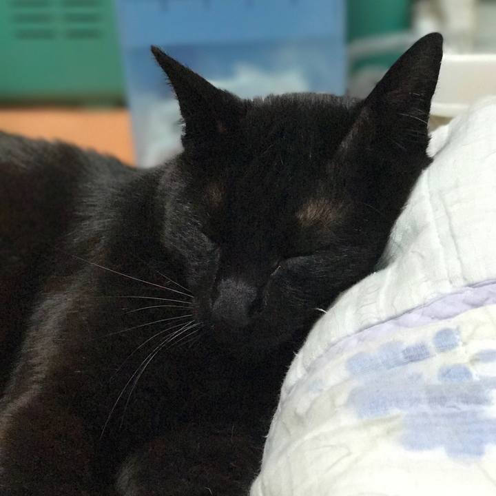 E34ca731 d831 4b15 ad1b 88fe0c99758b