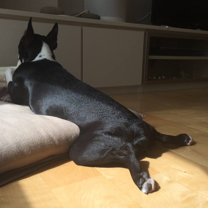 E34d1935 f4a4 4169 9290 9f6bc1c6935d