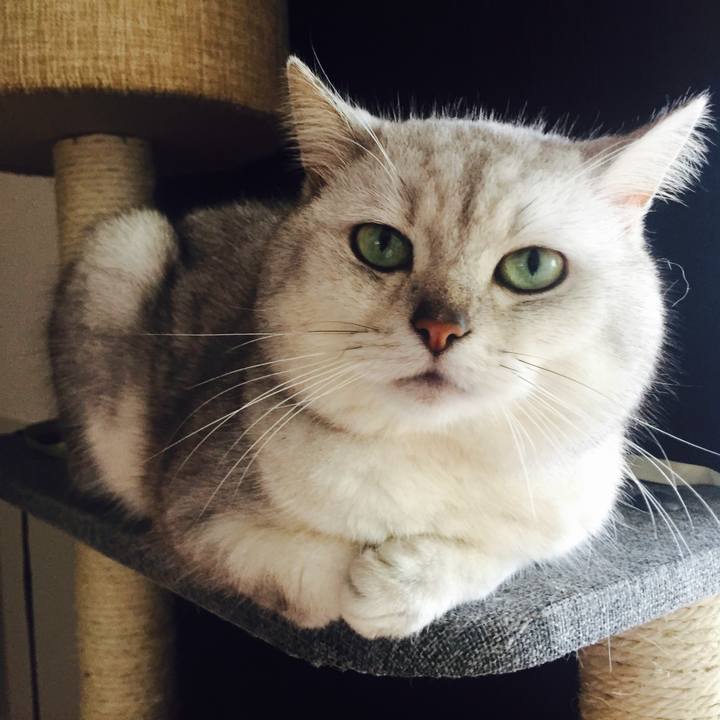 E34e8f14 b237 4876 8f07 5c5fd50f0d31