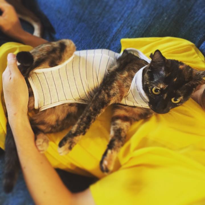 E34ed6ff bce4 46a6 a52d 3e061c94742c