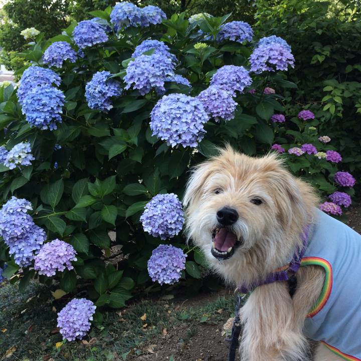 E34f8cf8 3173 464f b923 f1e4bbb17a0f