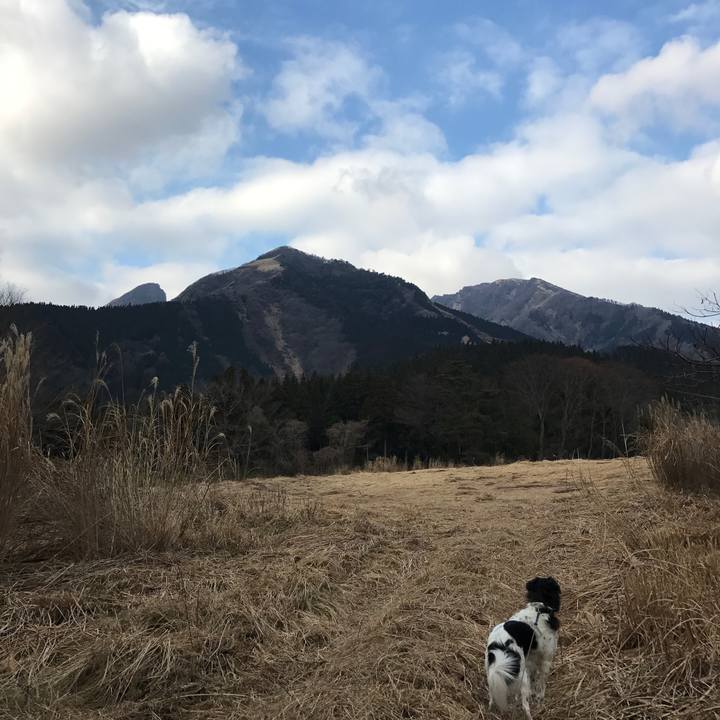 E34f9b0c b99d 4074 88b4 678d0794dff6