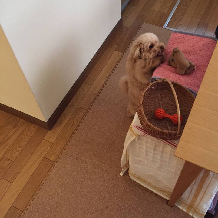 E34fd228 d2bf 496b abbe b66b33ad3f99