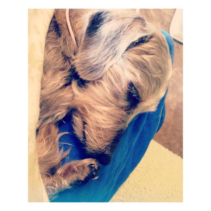 E34fe277 c0b5 445d 882b e19a956a9af2