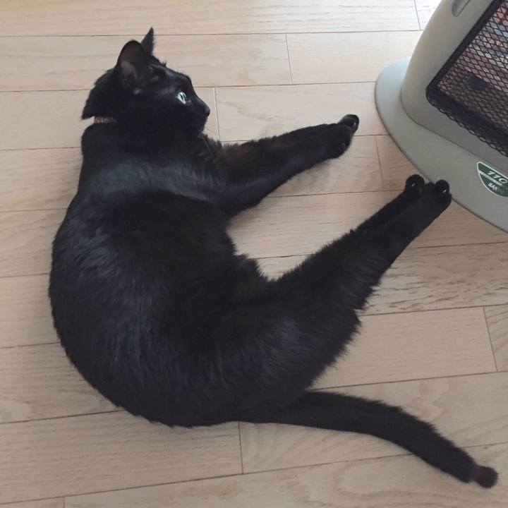 E34ff1f0 4500 4f22 8f93 68fe027edf71