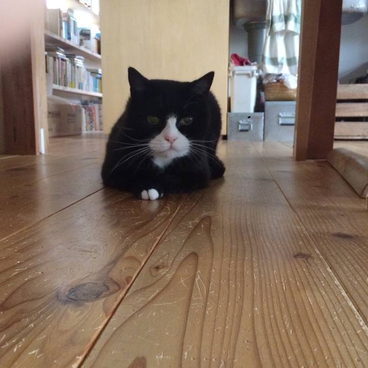 E350c0e2 9f33 4767 a0d8 a87f28b6828c