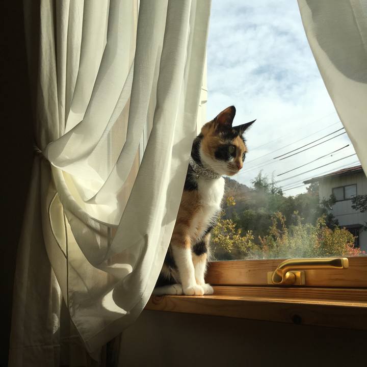 E350cc10 2dd1 472f bf71 034fbd5d2912