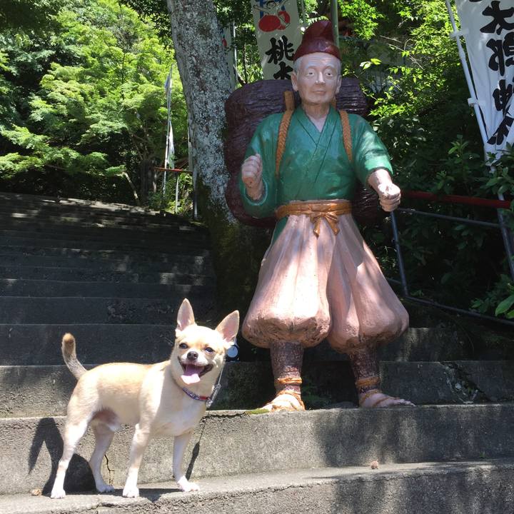 E3510ae3 98b4 44b9 bfaa 5e35c0325f30