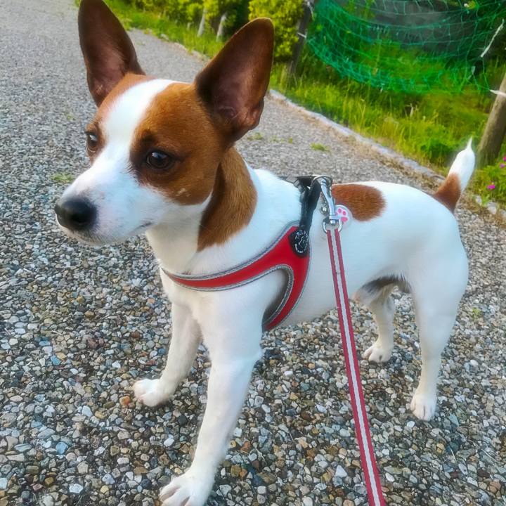 E351e69d a103 4978 9aaf 1bc0adf34f89