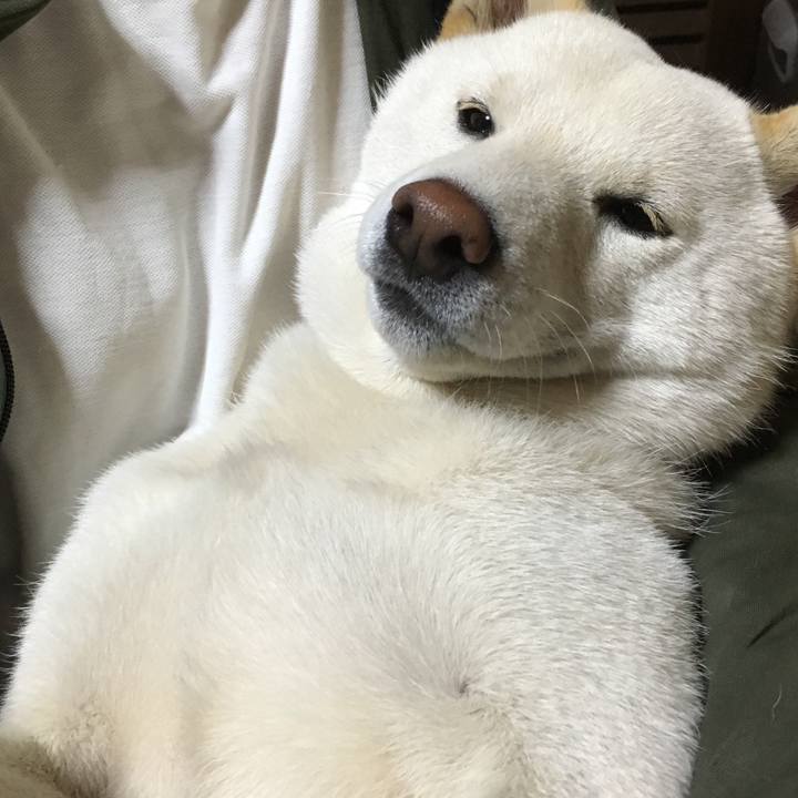 E3525789 c1b9 4759 9c71 80fd0a65f0da