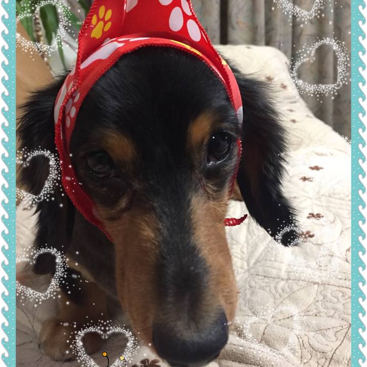 E3534d28 6b11 4a30 8f62 5129ba1615e3