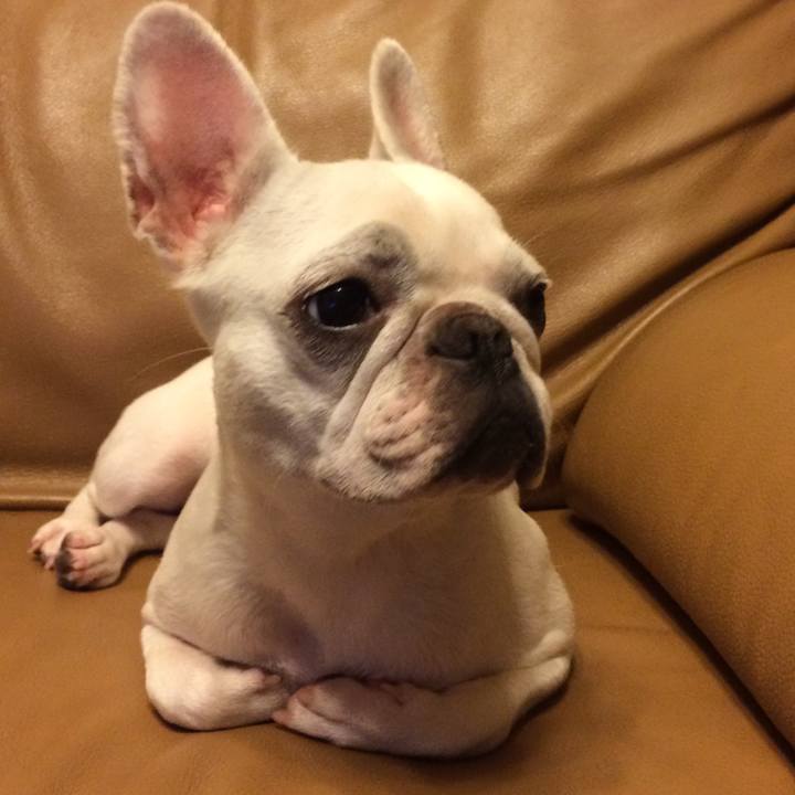 E3534e08 3103 4669 88c7 9d6c8de5ec8a