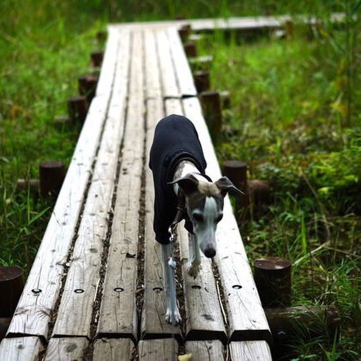 E3539ca8 aa3c 4cf9 a8ee 38843ffc114e