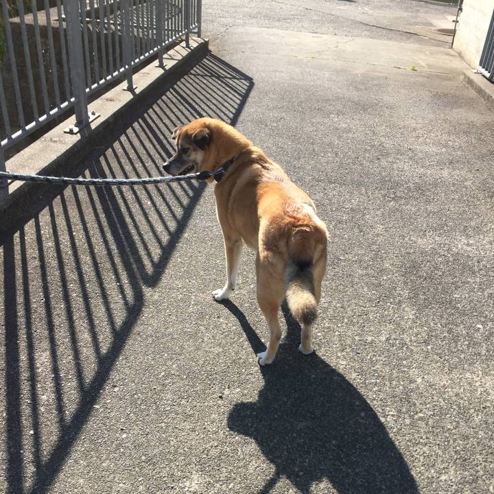 E353bca7 6eba 4c91 b7be 93d7d6fa3f22