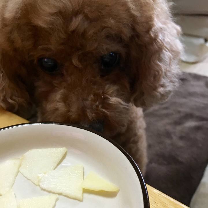 E354bae7 caad 4c0f 9df1 824a6c7823ba