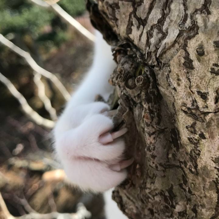 E354ff13 33d4 47dd 81c9 6fdac8843922