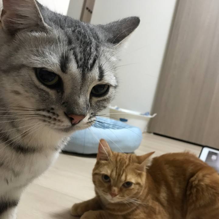 E3557044 cf0f 4f58 8550 58ec1489fcee