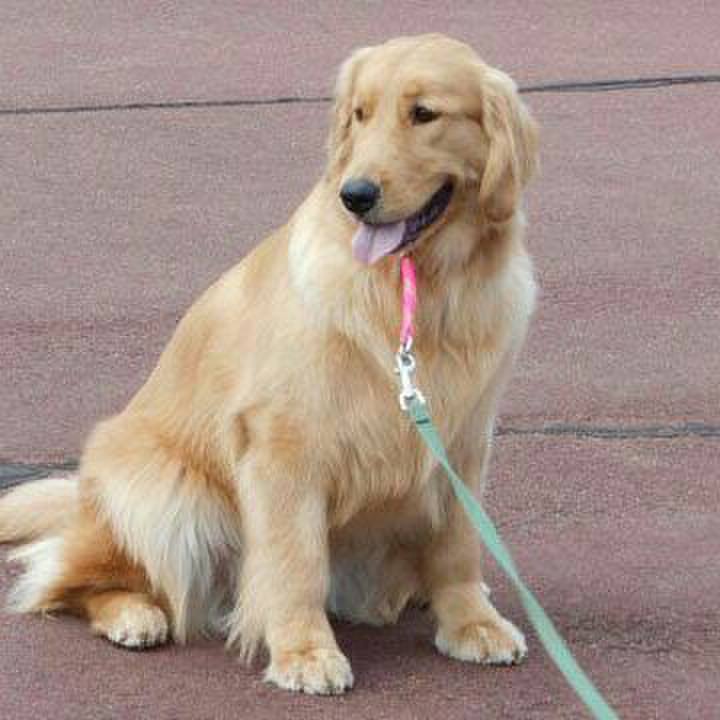 E35620f9 f122 43c8 9048 ed12b66f95c4