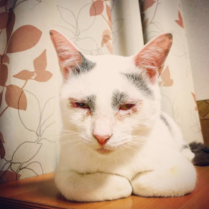 E35648a2 2852 4b4f a4aa 169c3fc16e95