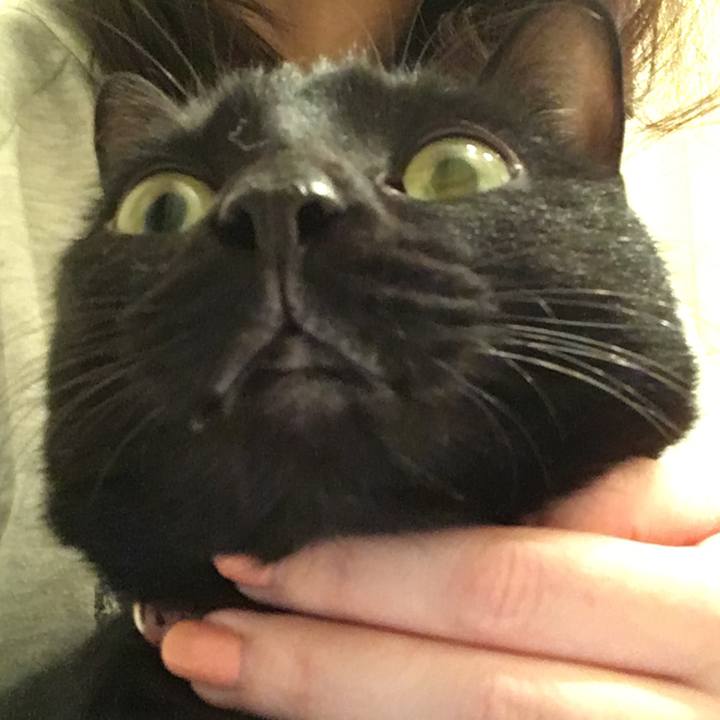 E3568cf3 7a97 4e7d 88e9 c14e83d50cb2