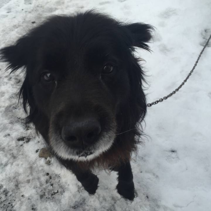 E3578468 f5f1 4385 9ac2 c58c8533ad86