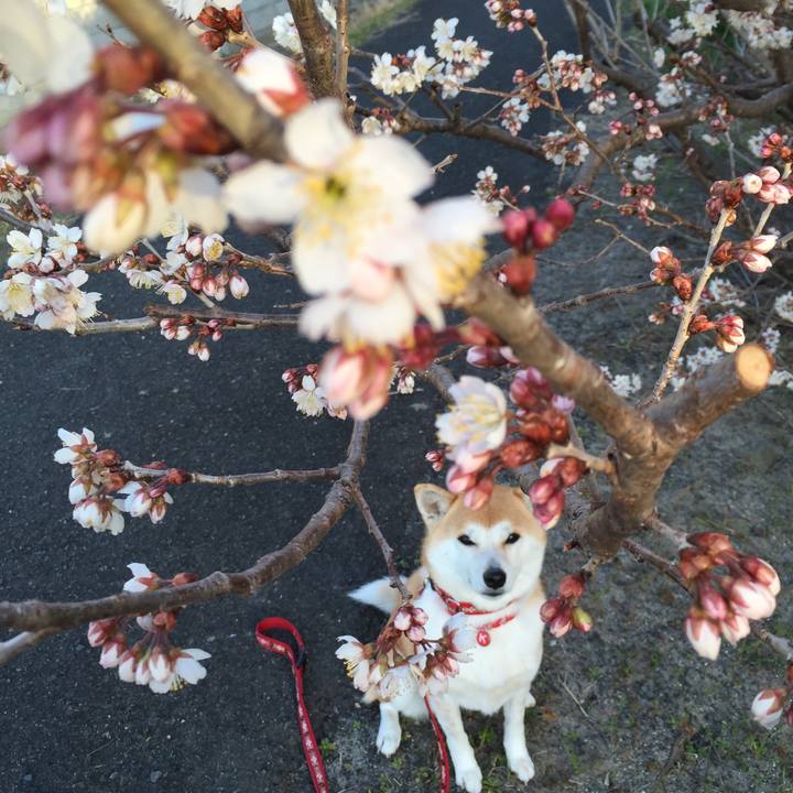 E3579f00 a6ce 4a5d 8cd4 6c4c8b3a5191