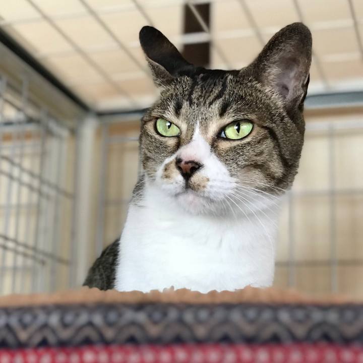 E3581c58 8a62 4d15 97be af7e8ae9685d