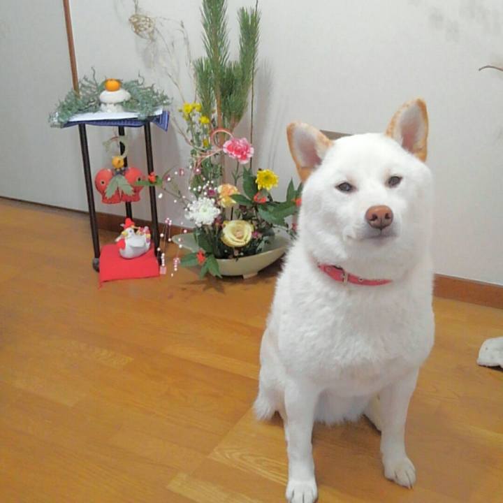 E359c0b0 4a67 489f 8c03 0ba82aba228e