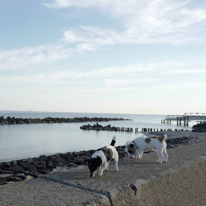 E35a67df 8a65 4a2b b251 a10b07d71b03