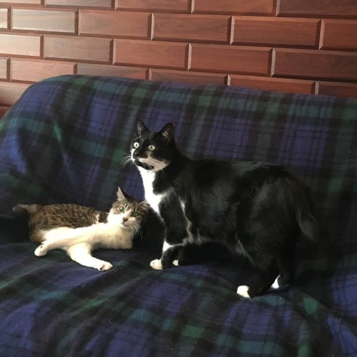 E35aaa88 7945 4870 bd7b e8f65323a617