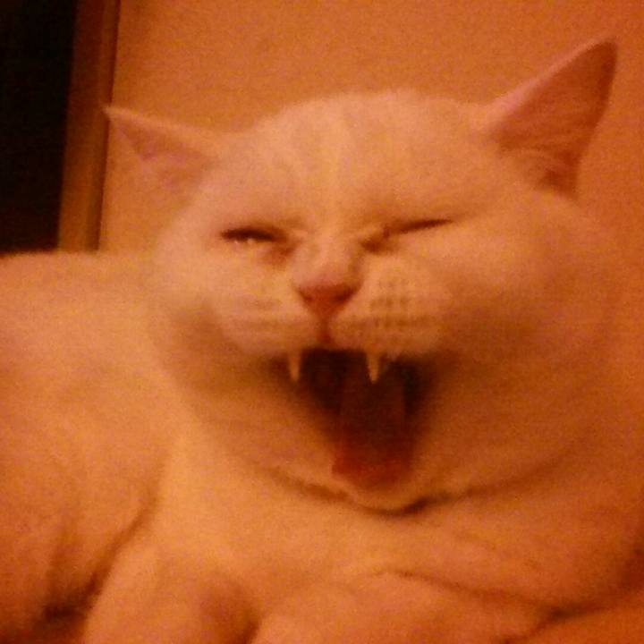 E35ae67c 32d6 42e0 935f d0d3f4d8a2c6