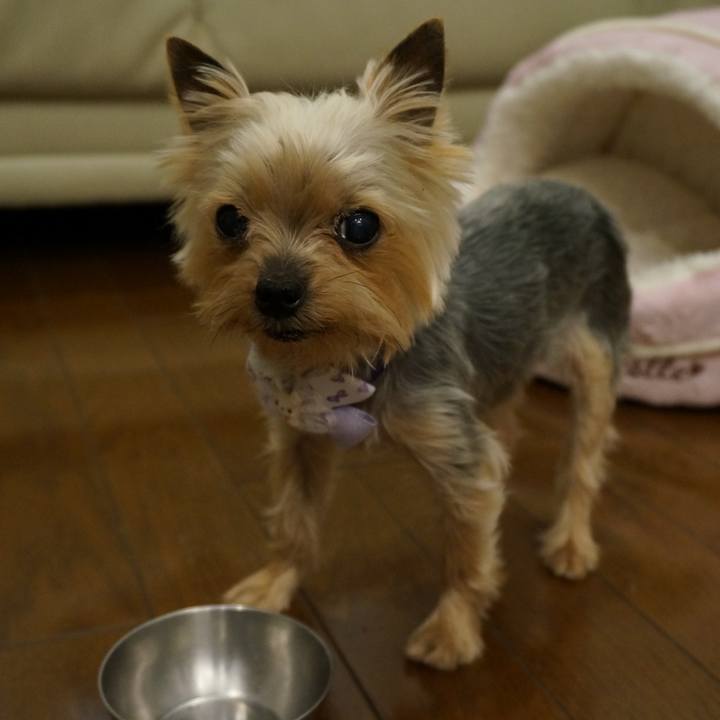 E35b0e4c cb97 48de a5ea 8c734f4da80c