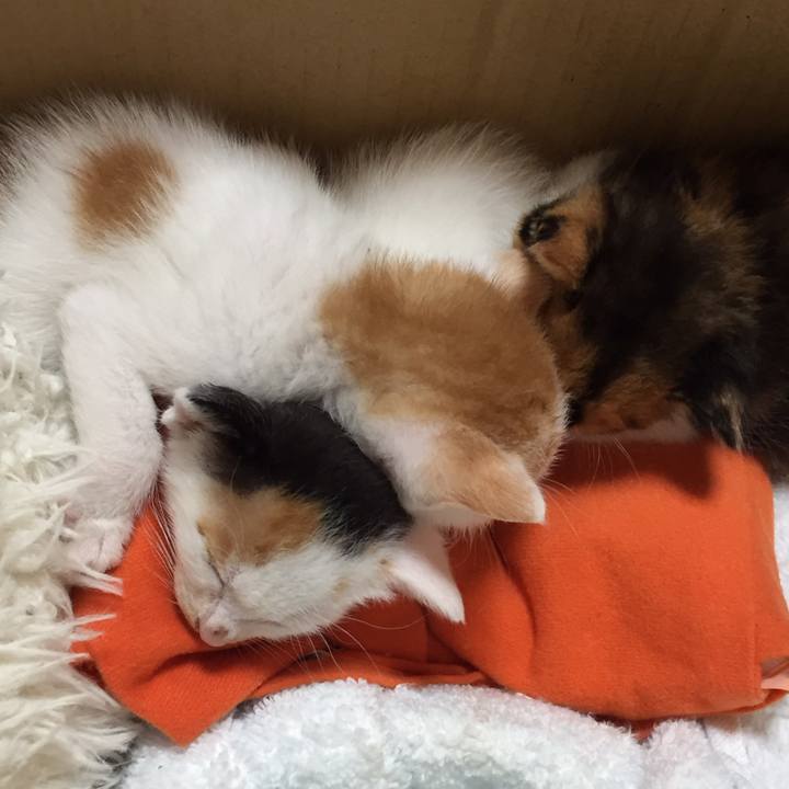 E35b2ad0 8da6 4e8f b30b cb04432ab89b