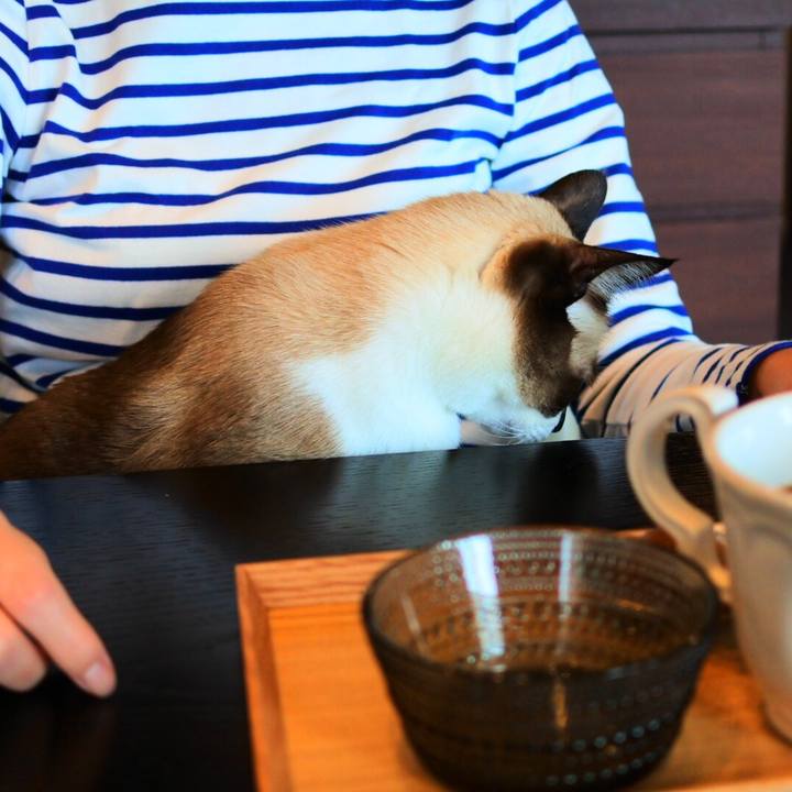 E35b3ea6 a051 4ea8 9329 2cf7a5a1b8a2