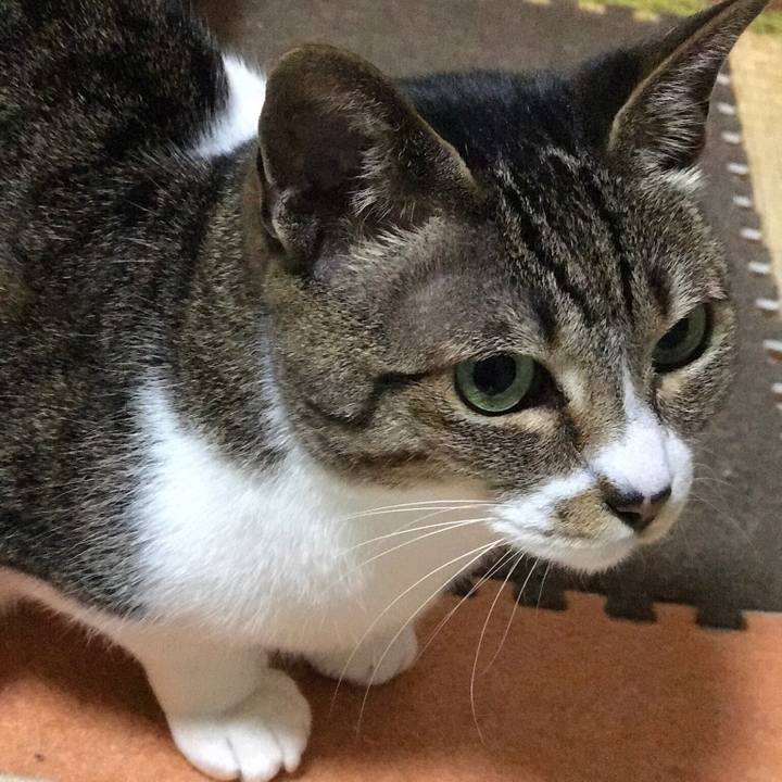 E35b930d c910 4b65 bbc1 9f1bd15f148c