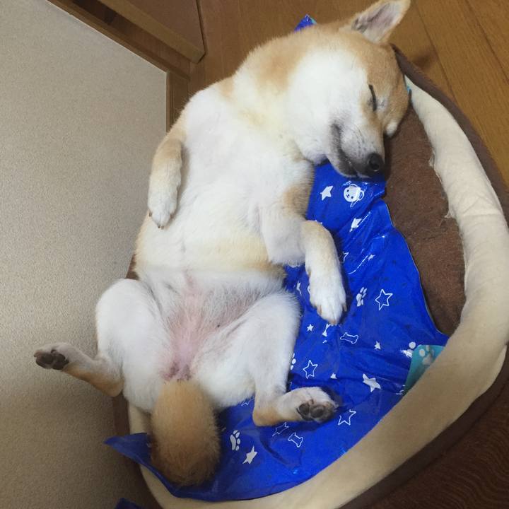 E35bddd6 44d9 450d bc9f e3b452ae5b76