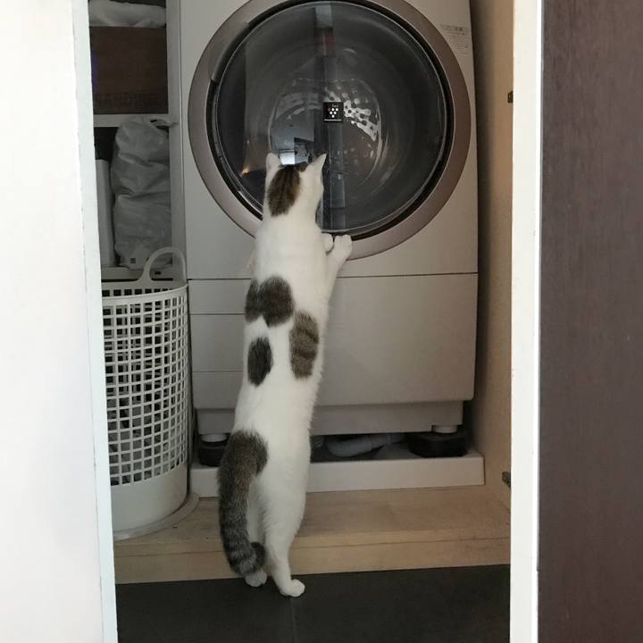 E35be00b 5bc0 49cf a02e 6d33480a1bdf