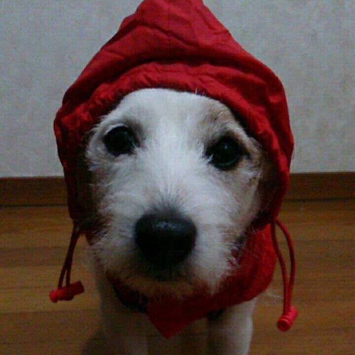 E35bf6f6 d4c4 4d63 881e 082fc87d190a