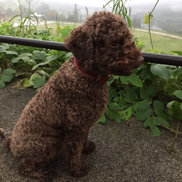 E35c01d1 42a6 42bf a5aa f62a14cae66c