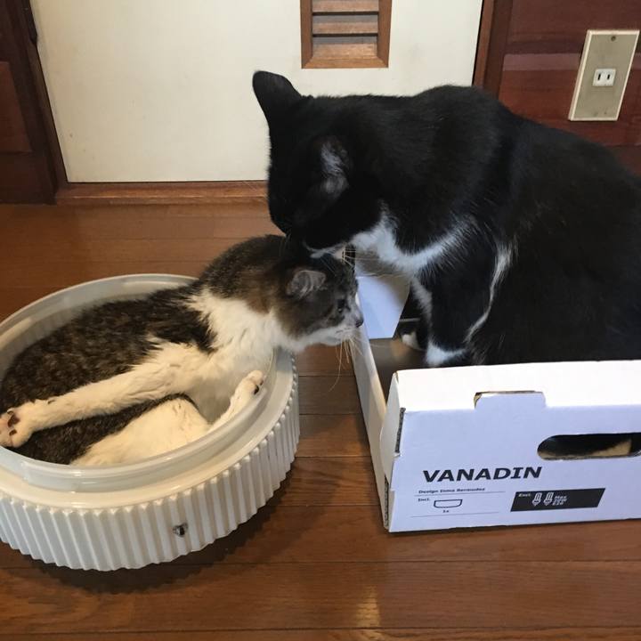 E35c1089 4519 45f0 9e14 ed4123f014dc