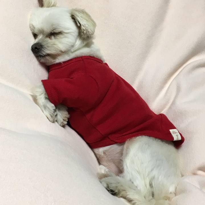 E35c8a58 cb75 4ec9 bced 5cac24b5000e