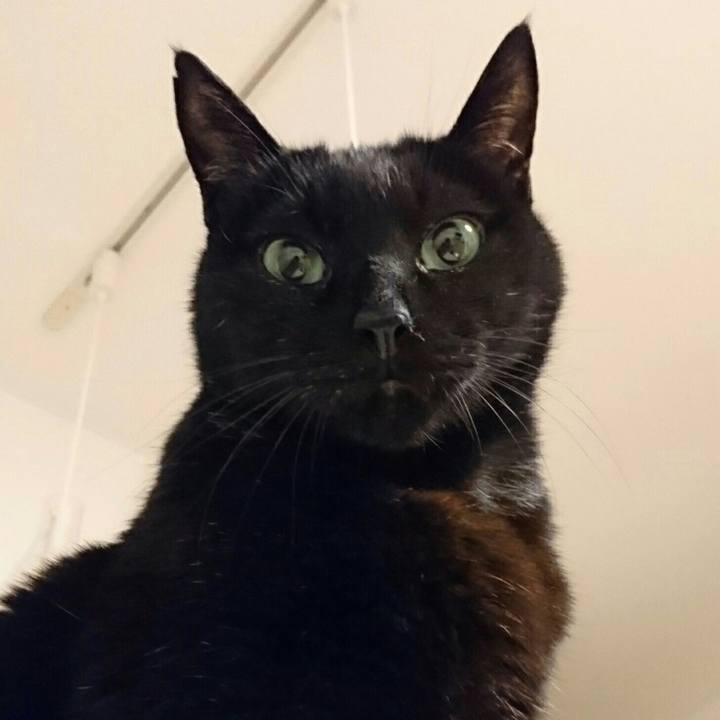 E35c8e5a 89ed 45f9 af9c bf60645ac5ea