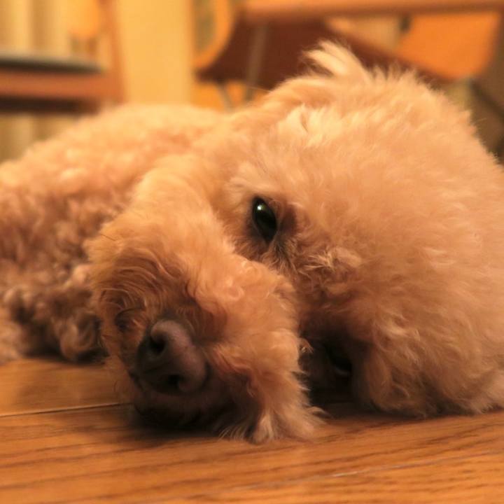 E35d5249 8e64 4042 819c 822e714c17e1