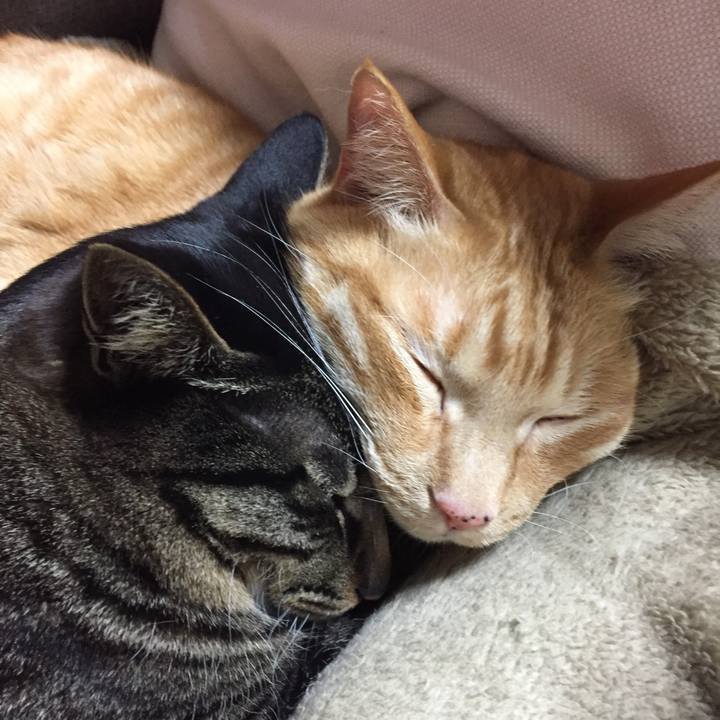 E35d5589 d6fd 48e4 b773 580c5e975245