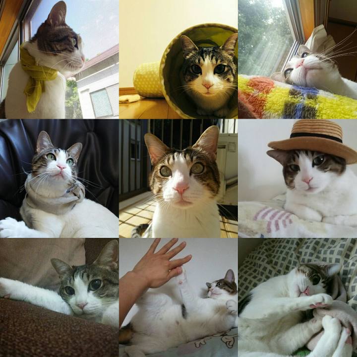 E35df3ee 2cb9 4e25 a73d 55d30a162b6d