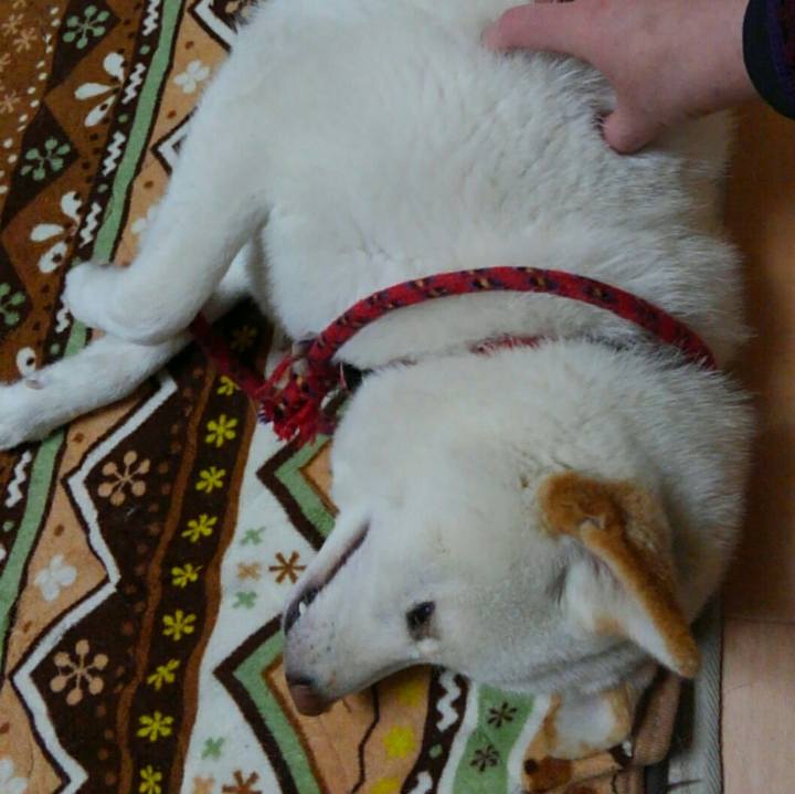 E35e53e6 bb7e 460a 9dad 3c4e2e65b9dd