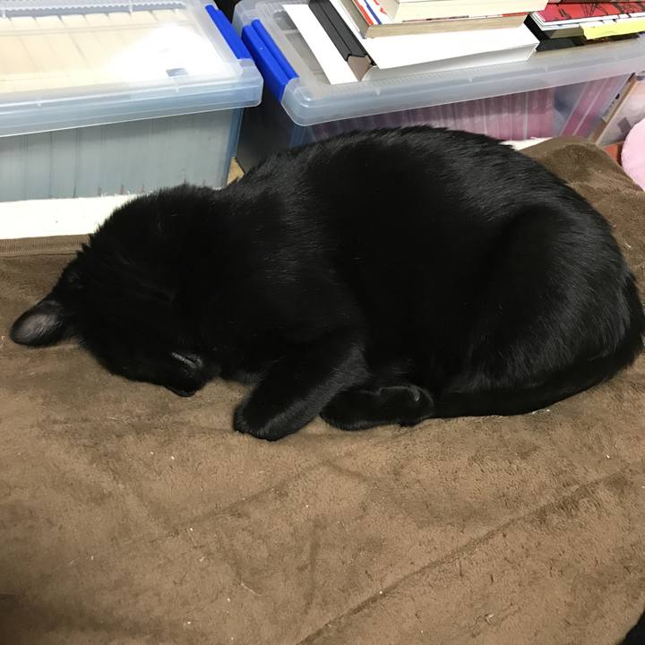 E35ece91 017b 4f87 88bf ed06f07107c1